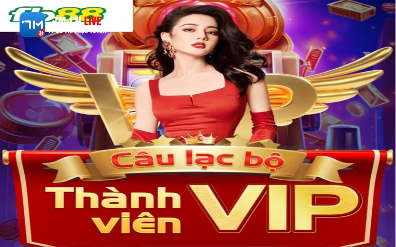 7m 16 Hệ thống phân cấp VIP tại nhà cái FB88